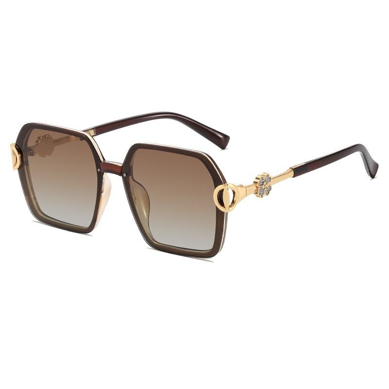 Sunglasses & Eyewear