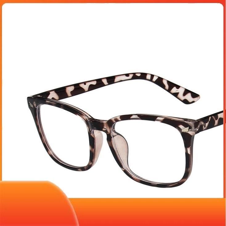Sunglasses & Eyewear