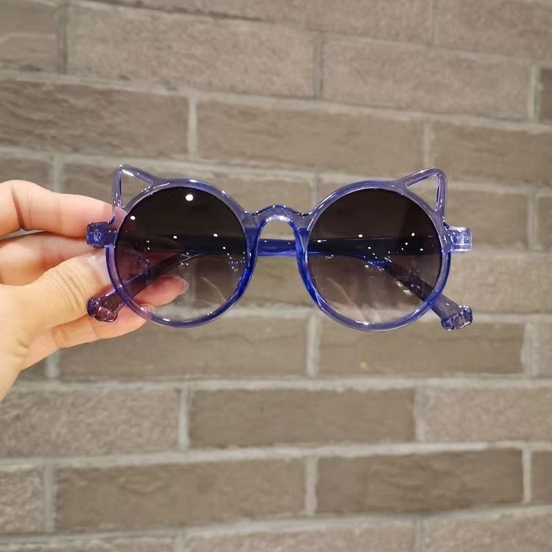 Sunglasses & Eyewear