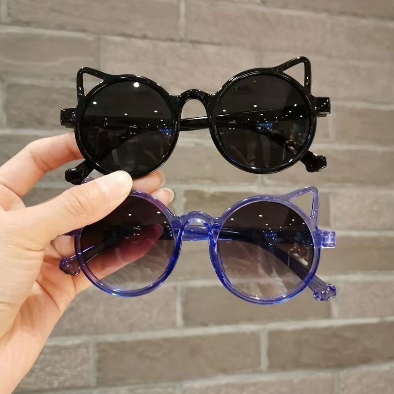 Sunglasses & Eyewear