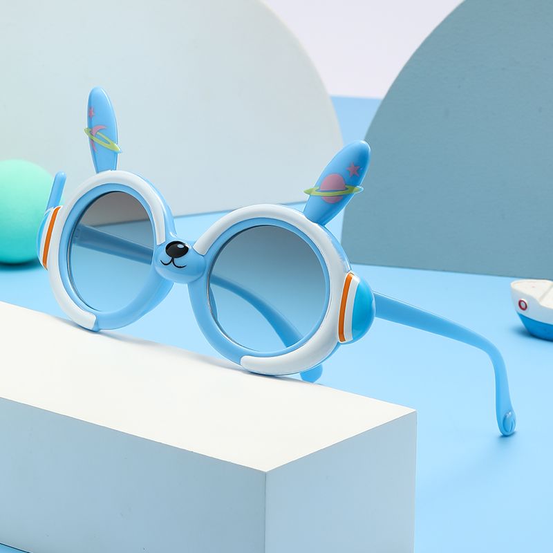 Sunglasses & Eyewear