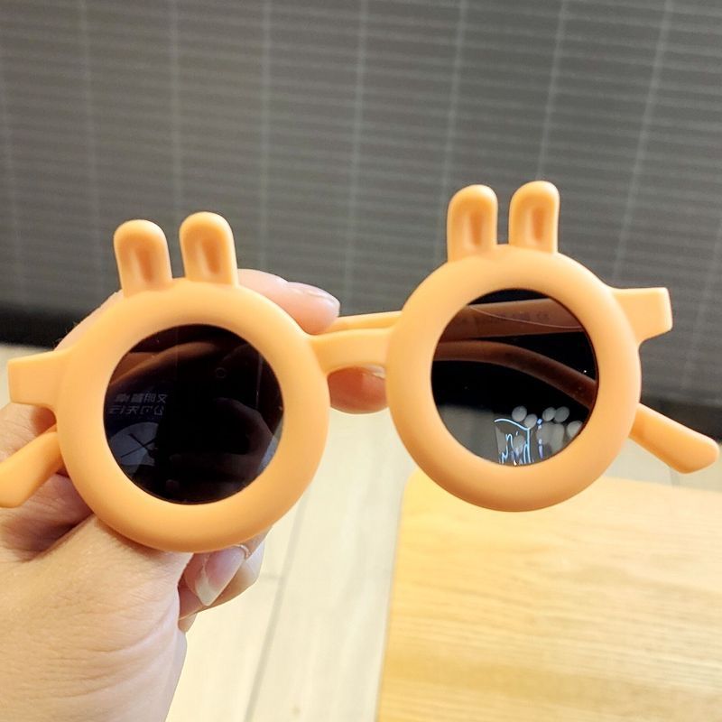 Sunglasses & Eyewear